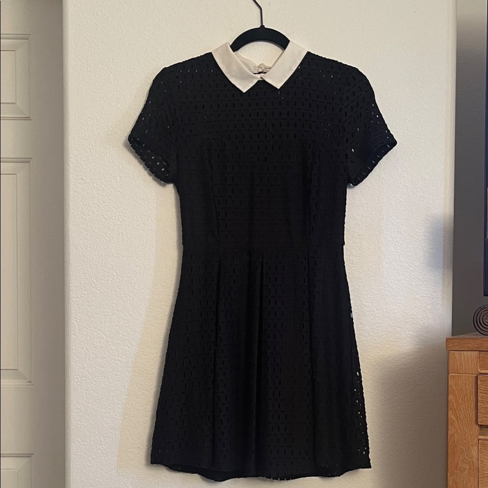 Forever 21 Black Lace Mini Dress with White Collar